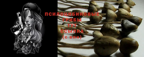 Альфа ПВП Киреевск