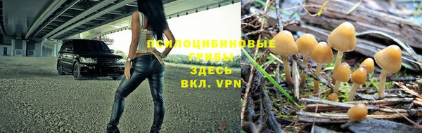 альфа пвп Горно-Алтайск