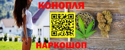 шишки Гай