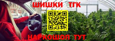 шишки Гай