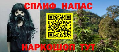 шишки Гай