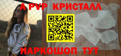 шишки Гай