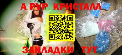 шишки Гай